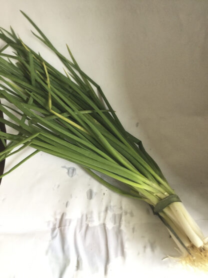Cebolinha (molho) Feirinha Agroecológica