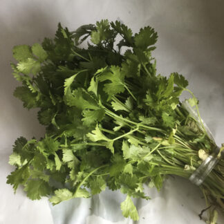 Coentro (molho) Feirinha Agroecológica