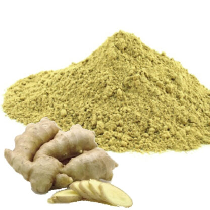 Gengibre em Pó 100g (GRANEL)